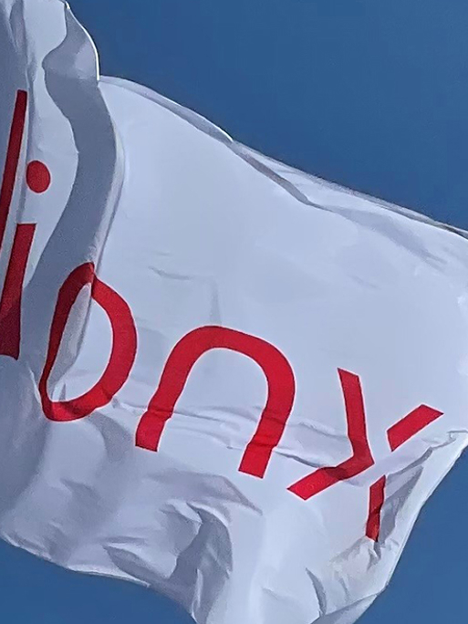 Vlag ilionx